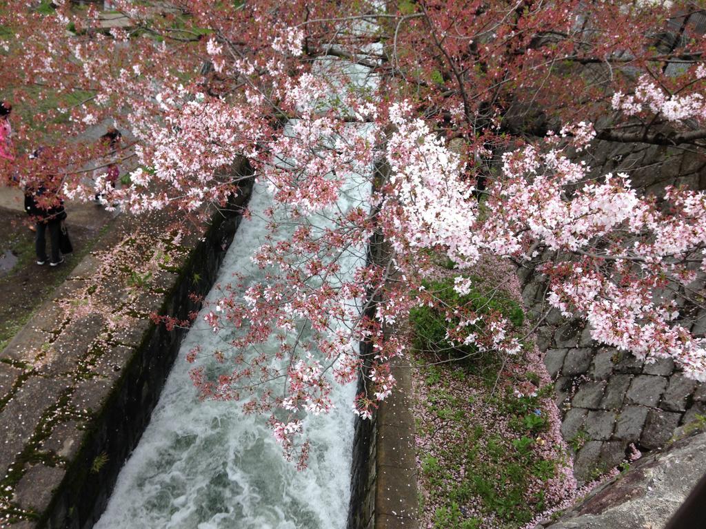 Yunokian Villa Kyoto Dış mekan fotoğraf
